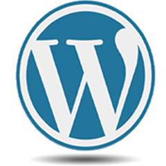 Essential Knowledge If You Are New To WordPress